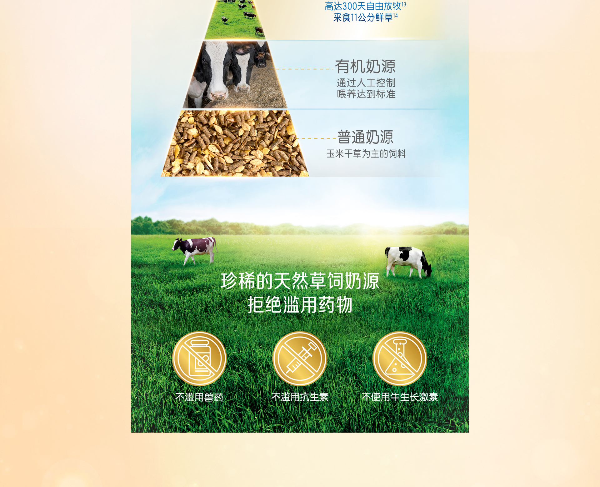 美赞臣安儿宝 美赞臣安儿宝