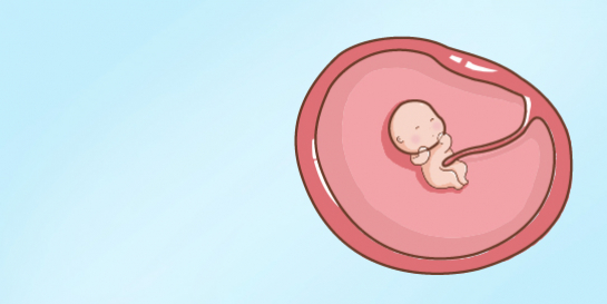 宝宝升级成胎儿，并向你发出第一份惊喜